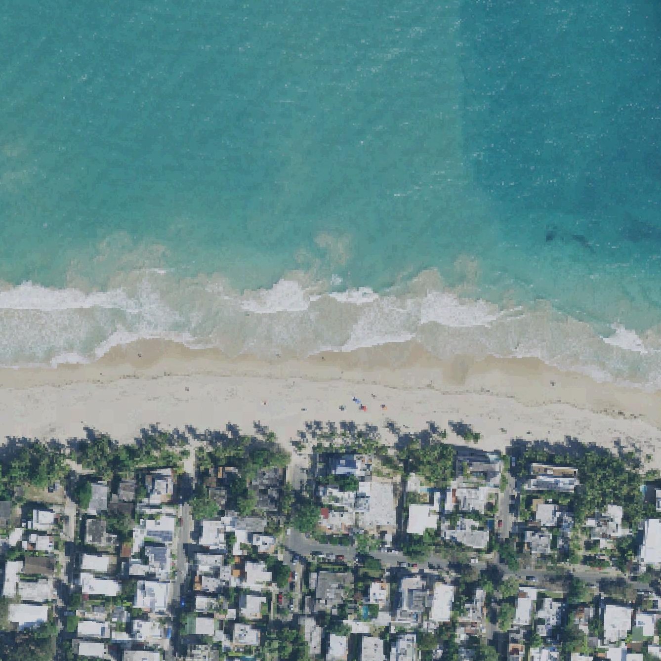 Aerial map of Ocean Park