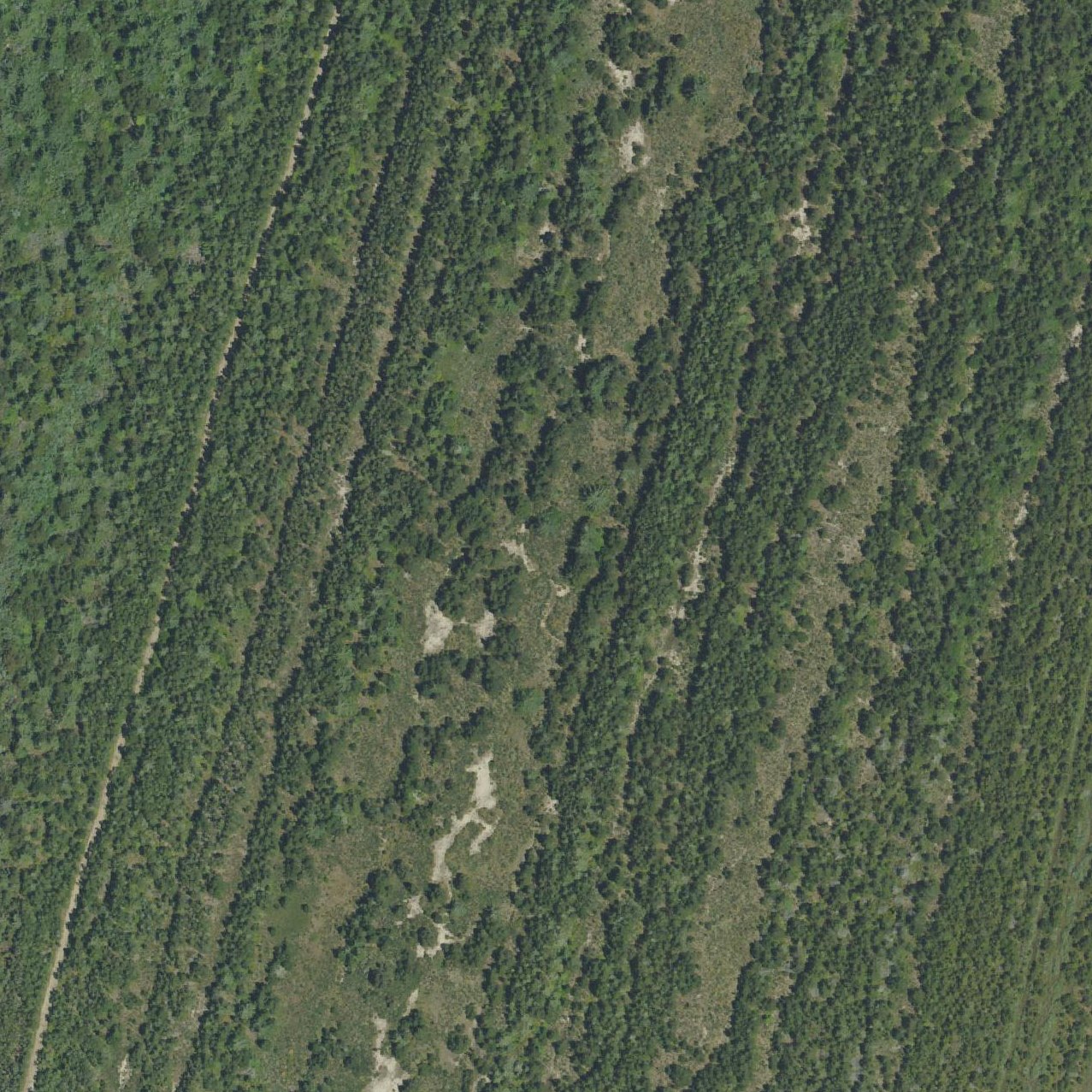 Aerial map of Oregon Dunes