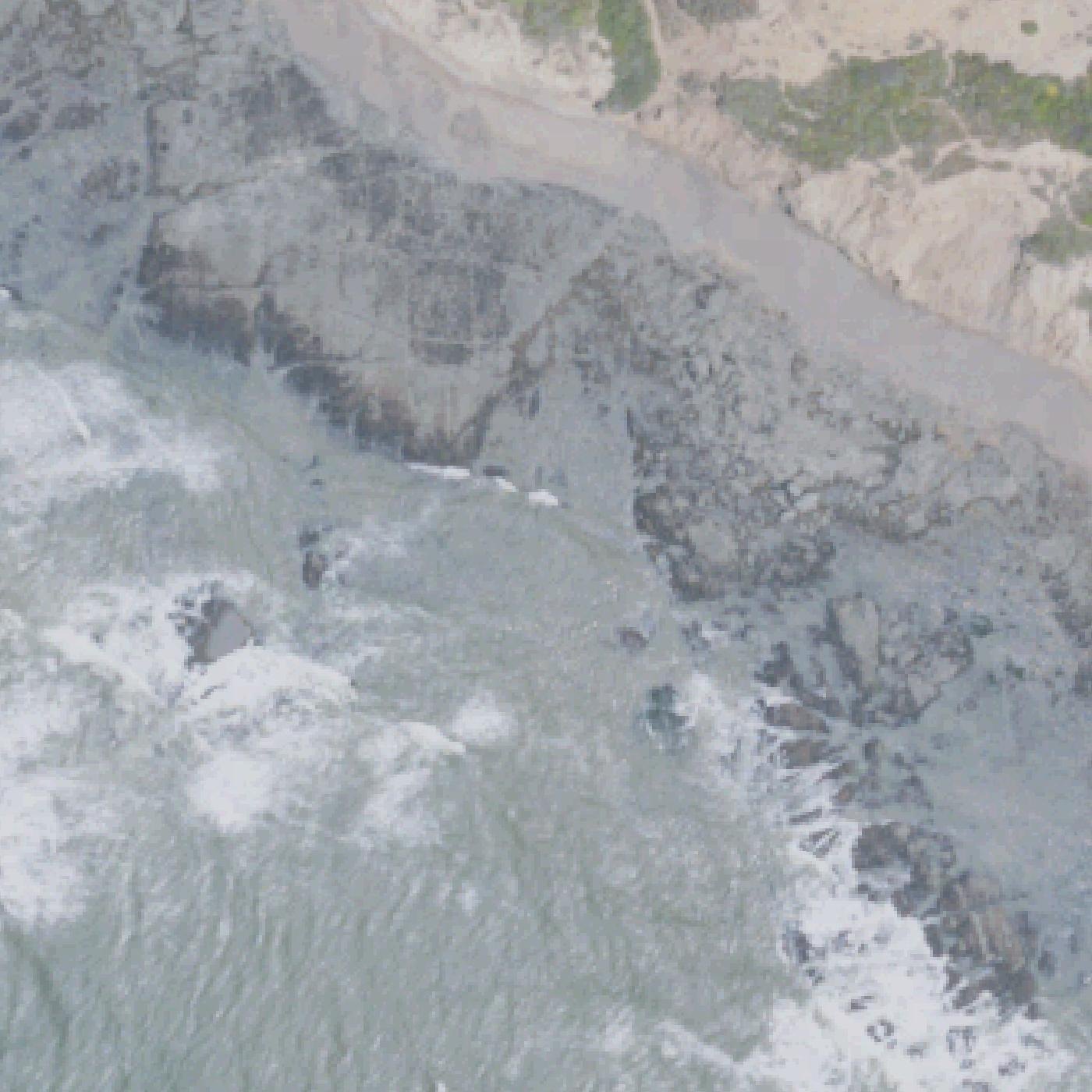 Aerial map of Palomarin Beach