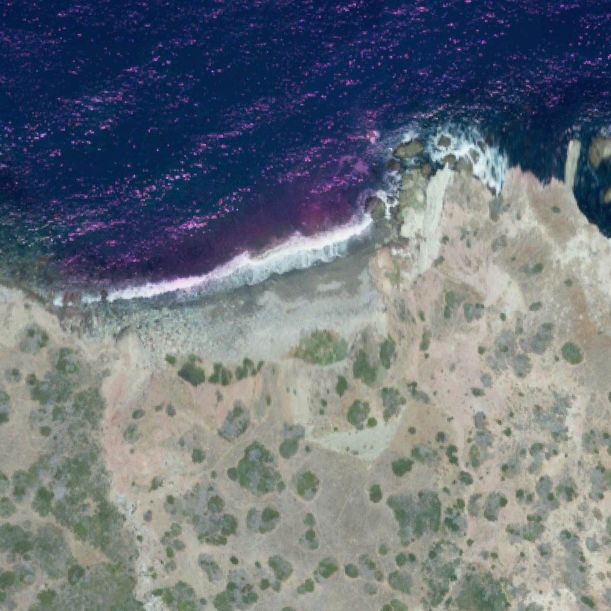 Aerial map of Paradise Cove