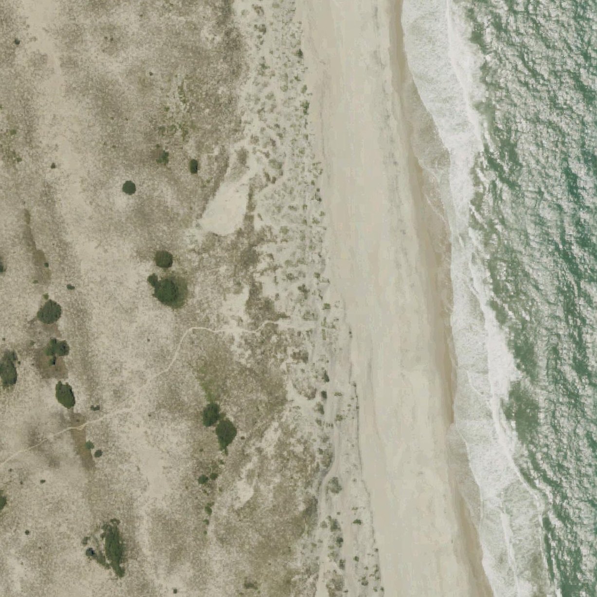 Aerial map of Pea Island Beach