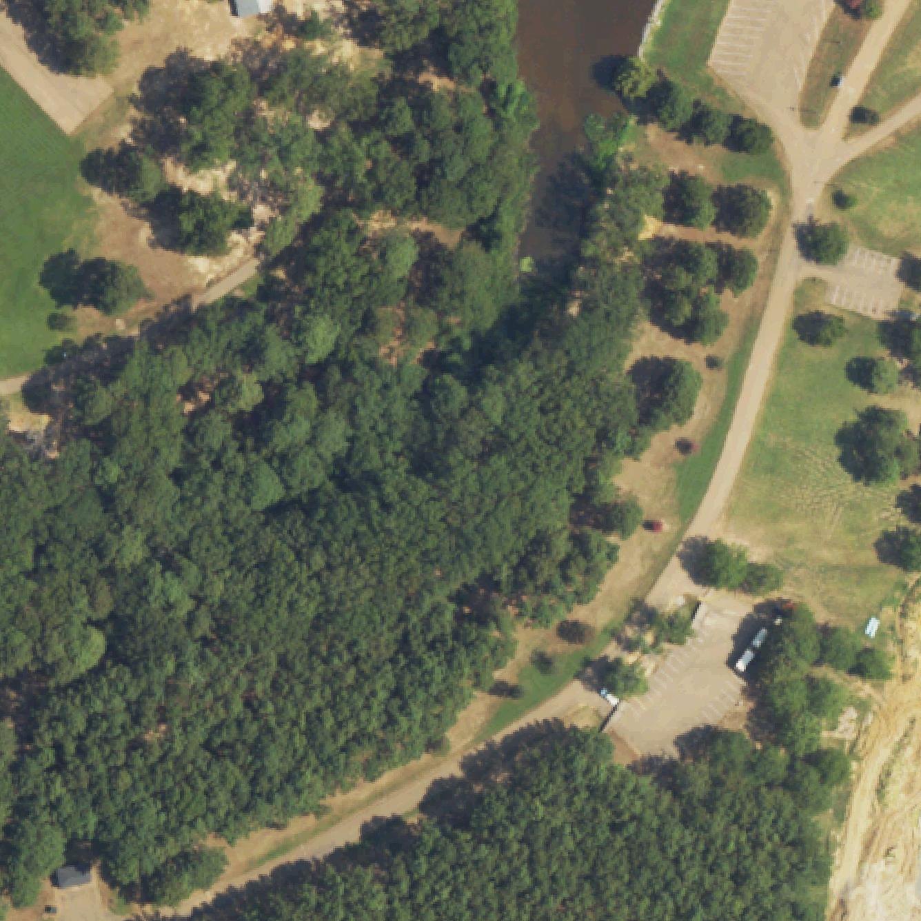 Aerial map of Pelahatchie Shore Park