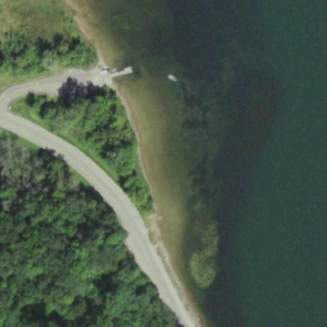 Aerial map of Pet Swim Area
