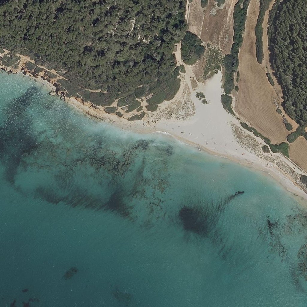 Aerial map of Platja Binigaus