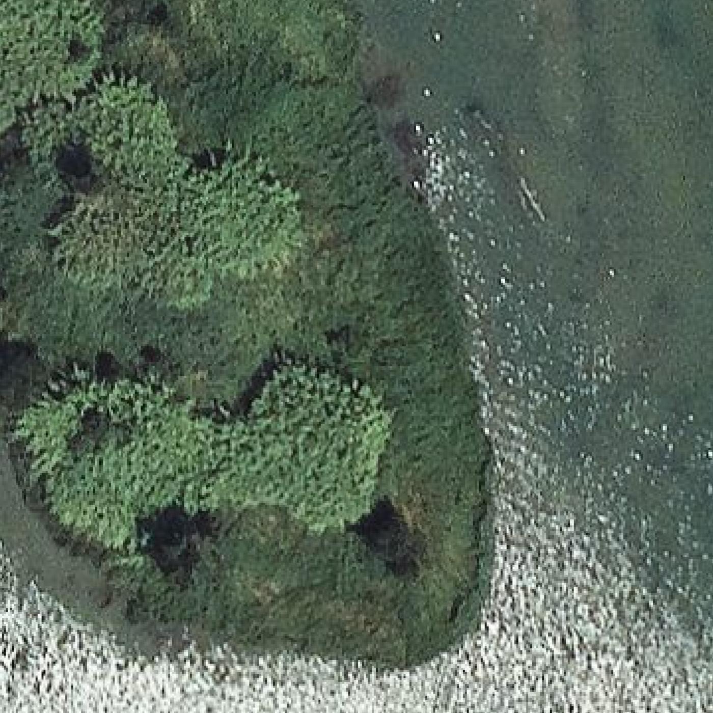 Aerial map of Platja Can Comes