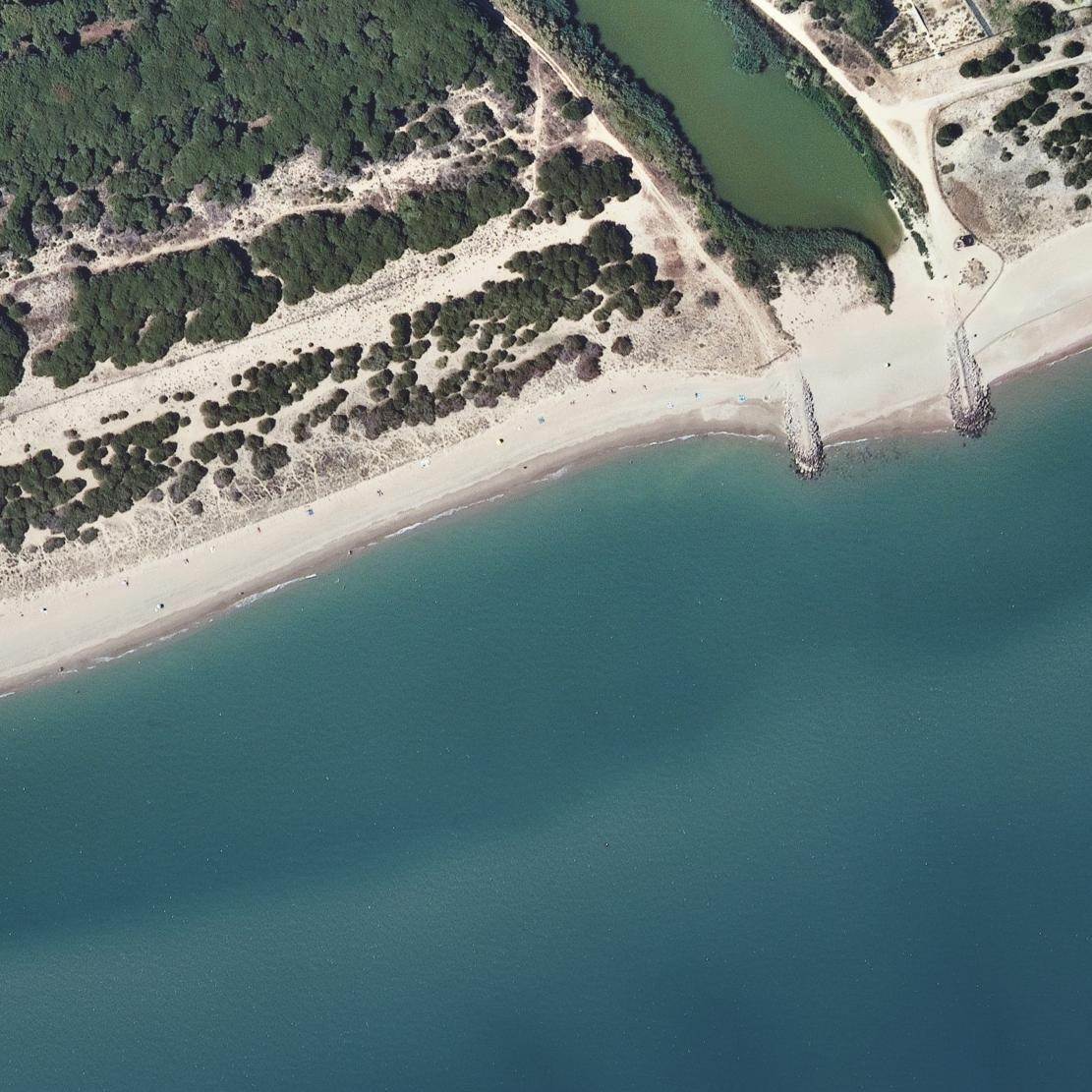 Aerial map of Platja de Cal Francès