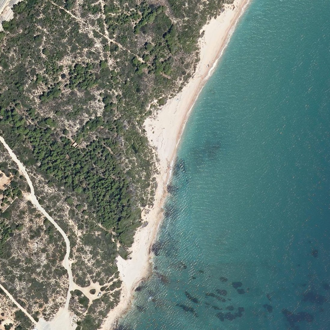 Aerial map of Platja de Cala Ronyosa
