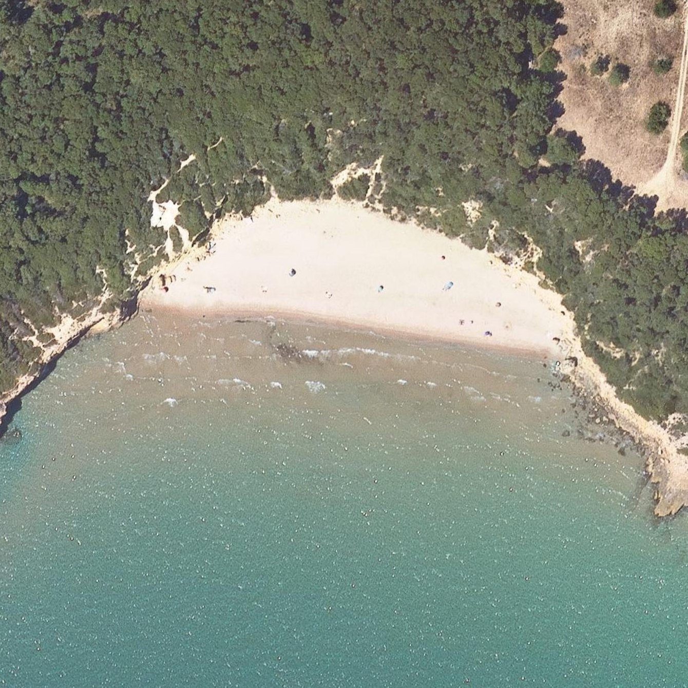 Aerial map of Platja de l'Arboçar
