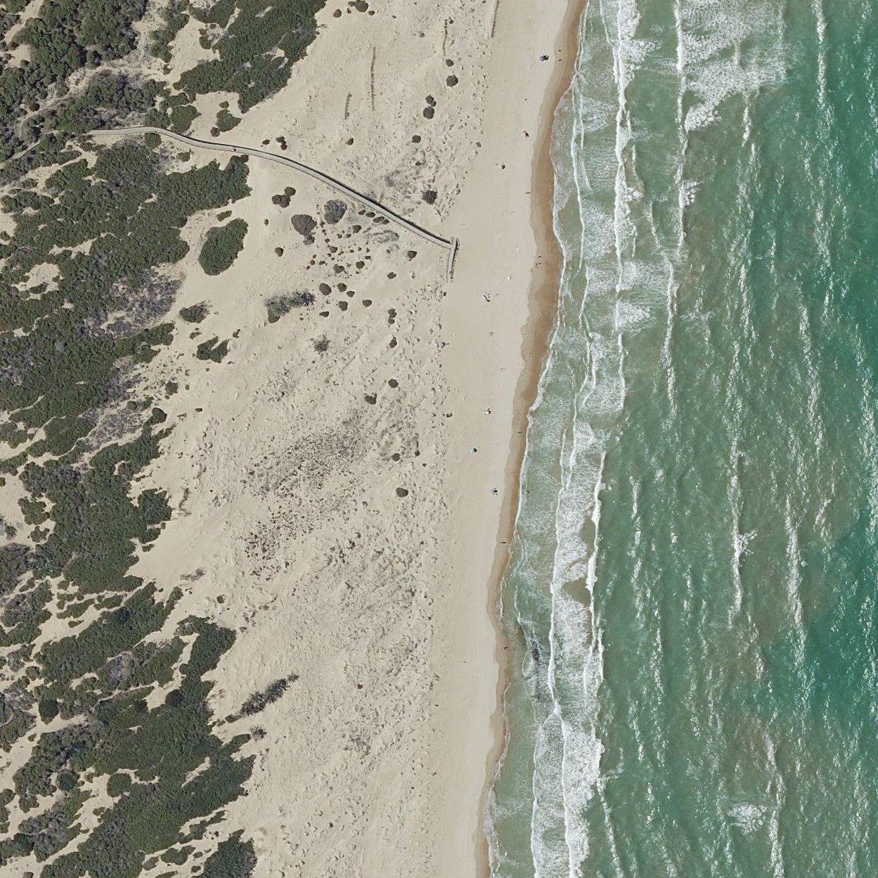 Aerial map of Platja del Camp