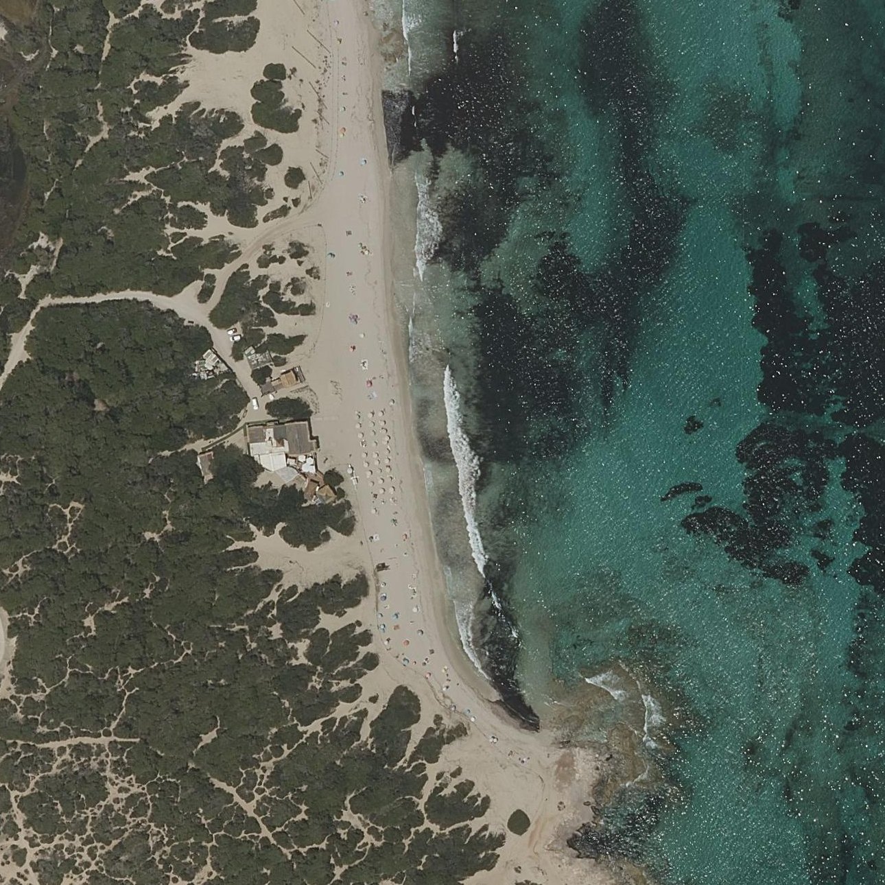 Aerial map of Platja des Cavallet