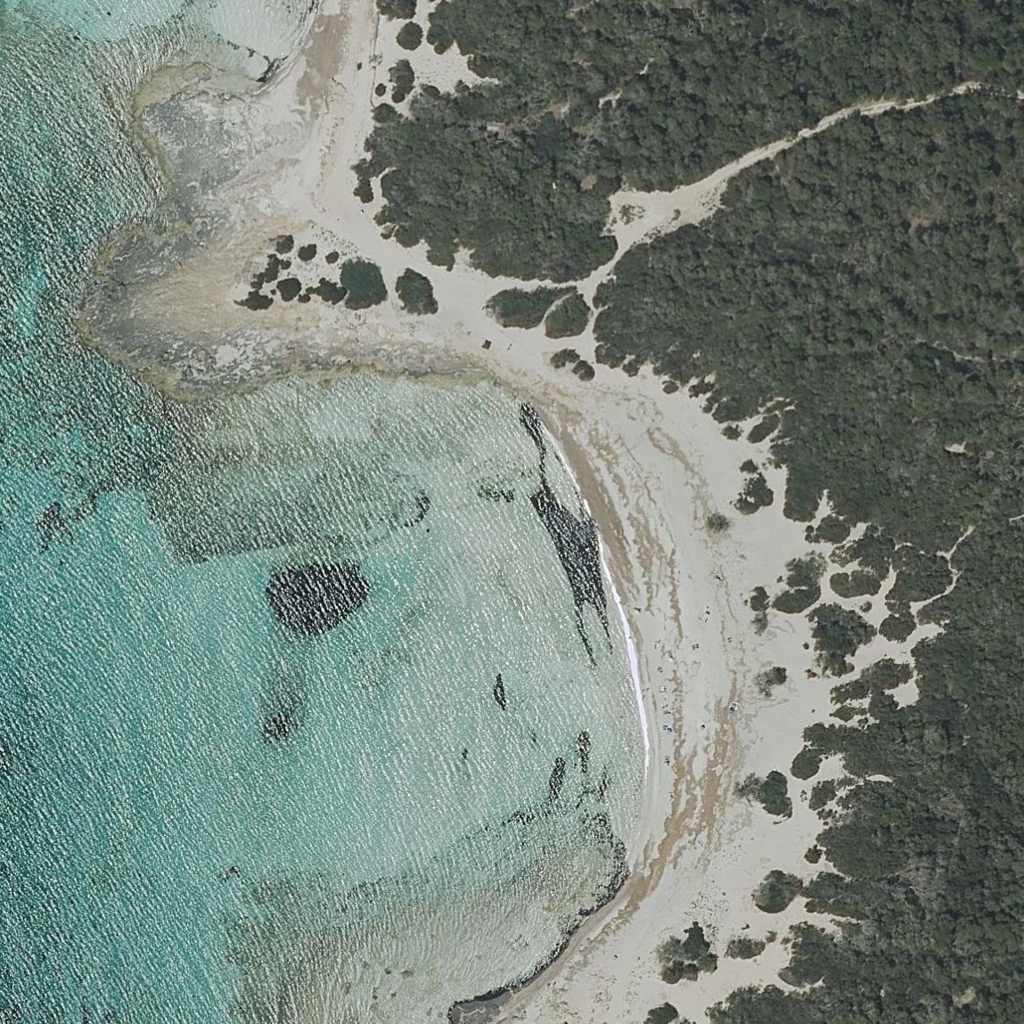 Aerial map of Platja des Peregons Grans