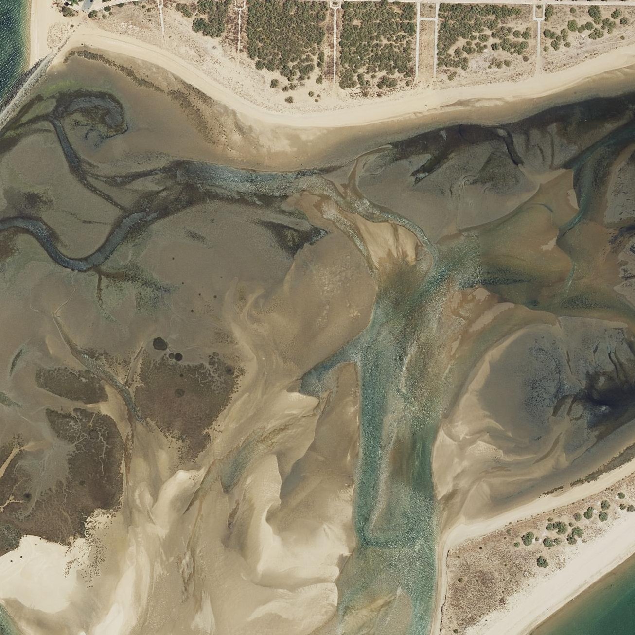 Aerial map of Playa de la Punta del Caimán