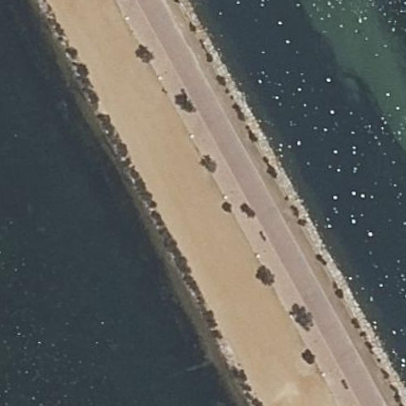 Aerial map of Playa de la Rota