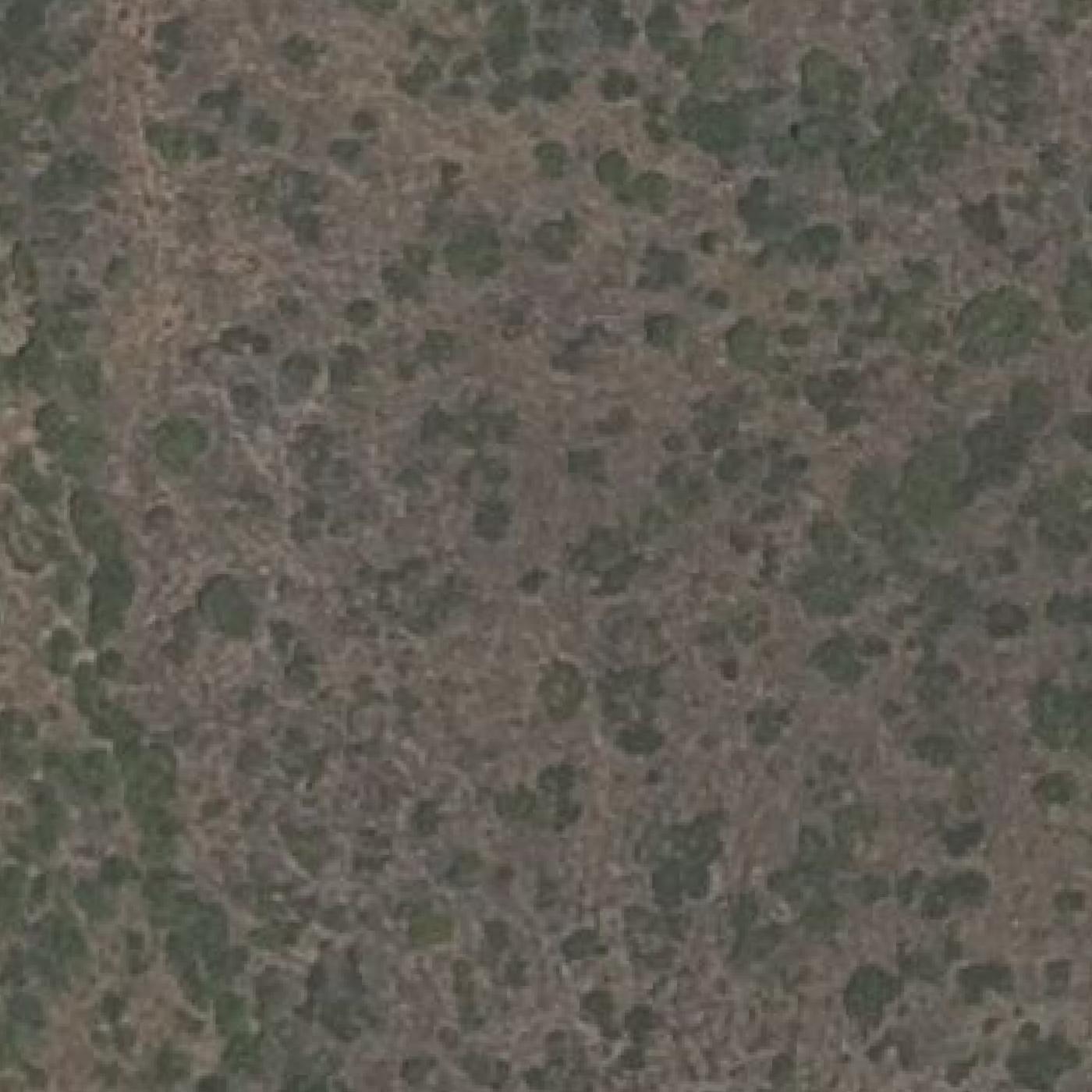 Aerial map of Playa de las Mulas