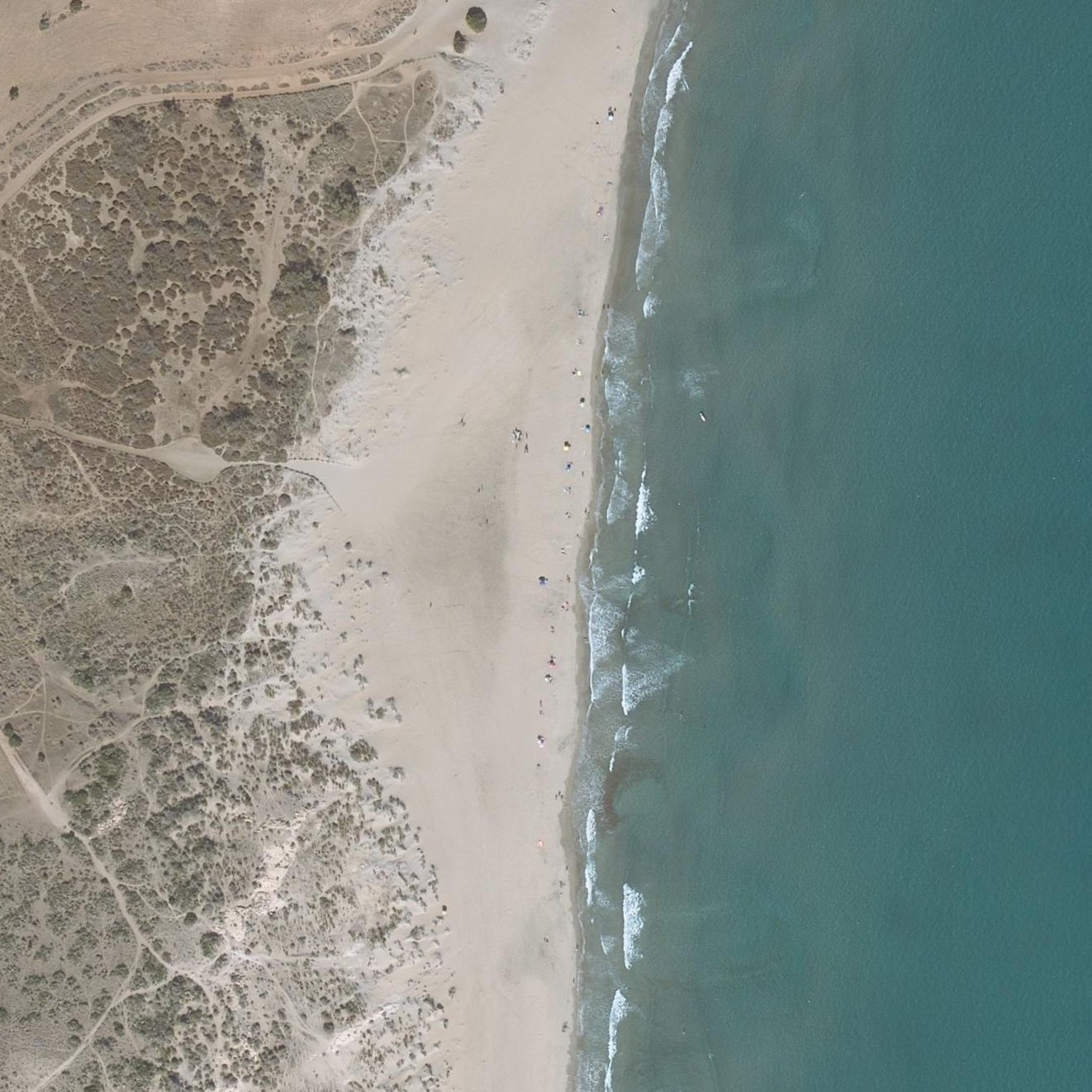 Aerial map of Playa de los Genoveses
