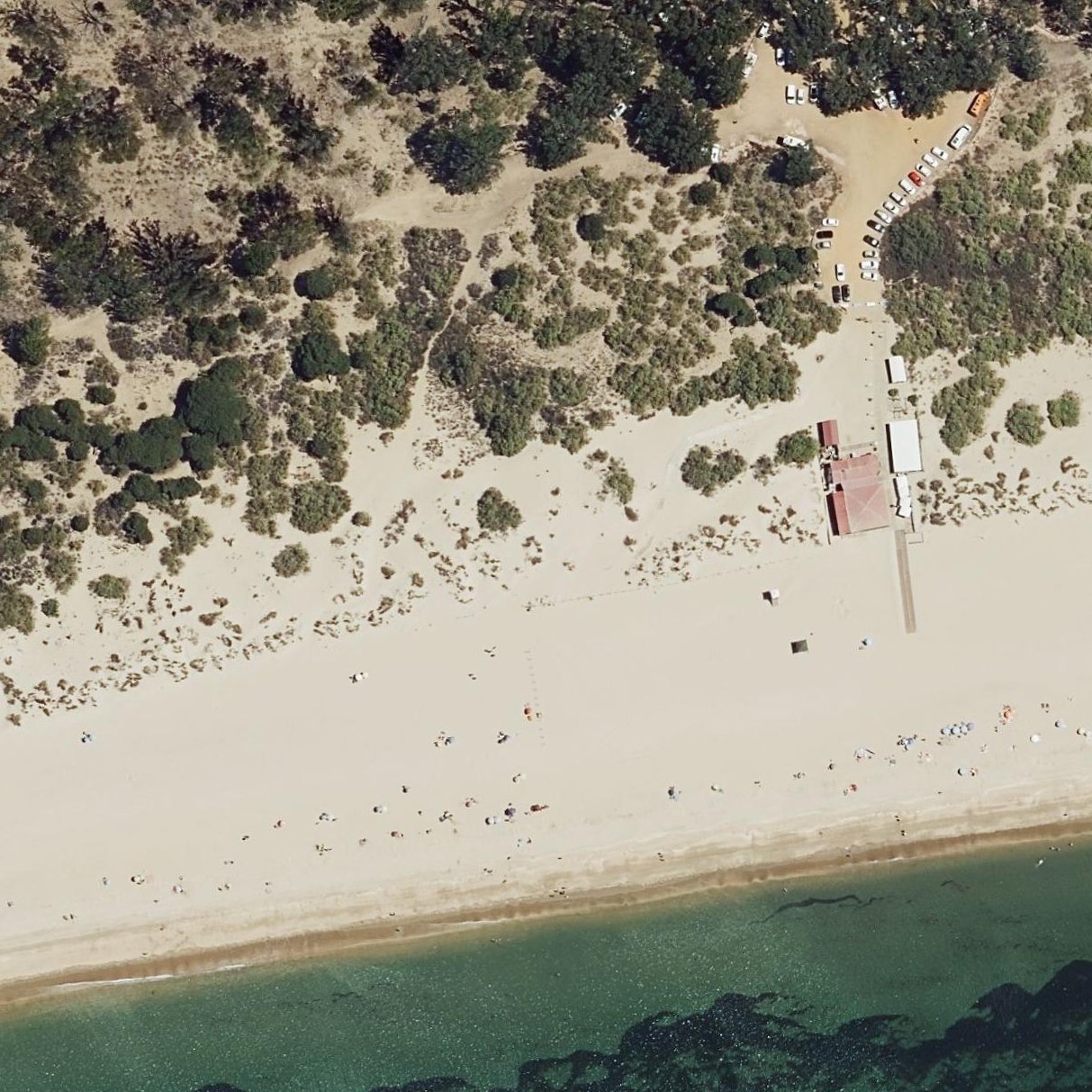 Aerial map of Playa de Pesmar (Icona)