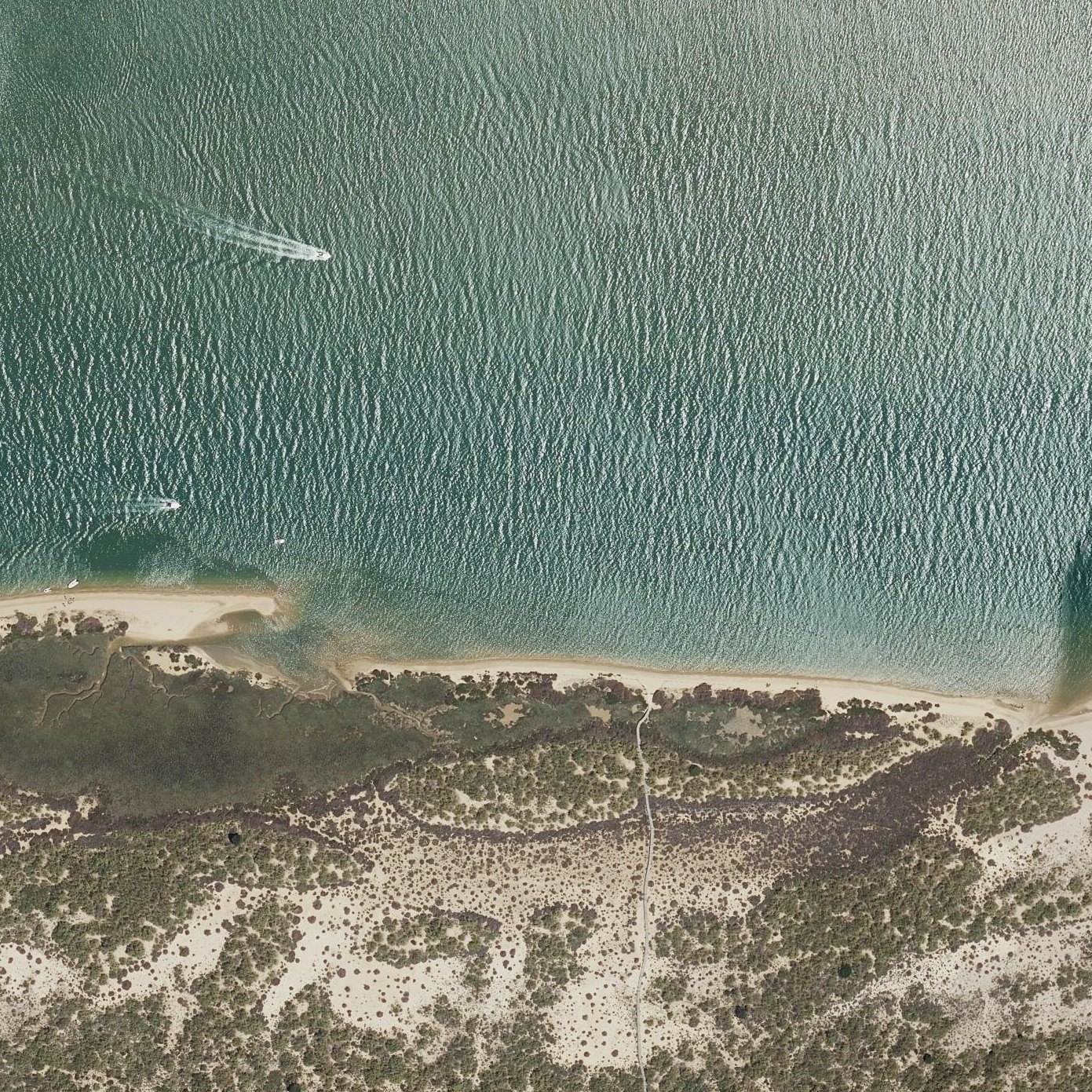 Aerial map of Playa de San Miguel
