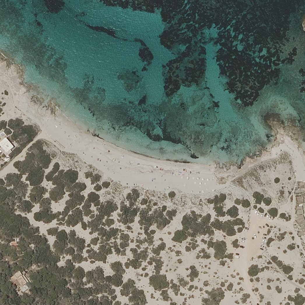 Aerial map of Playa de Ses Canyes (Formentera)