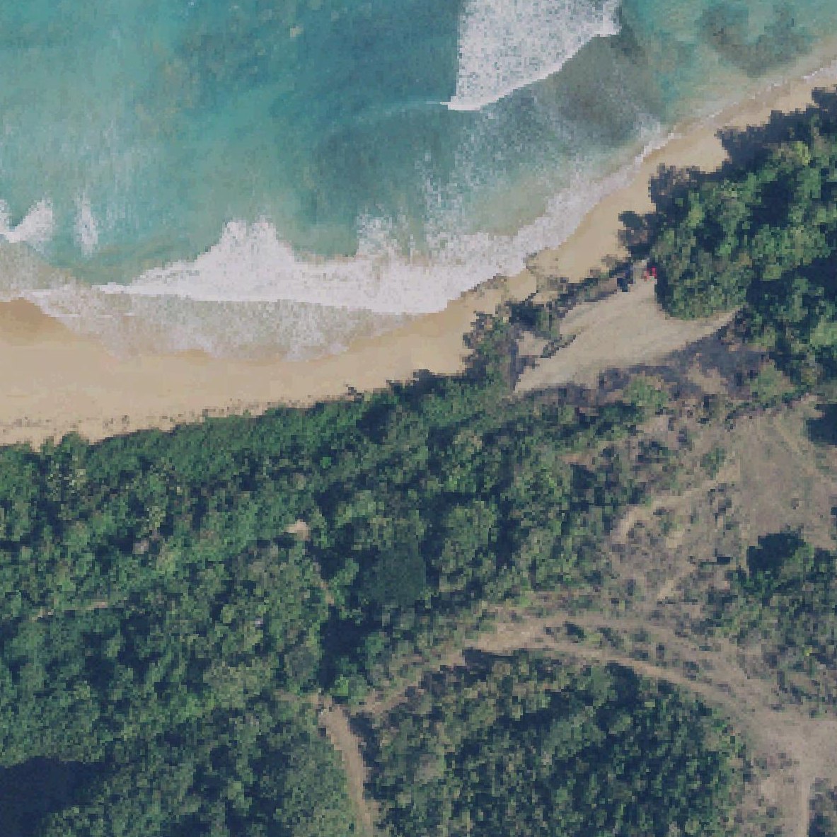 Aerial map of Playa La Selva