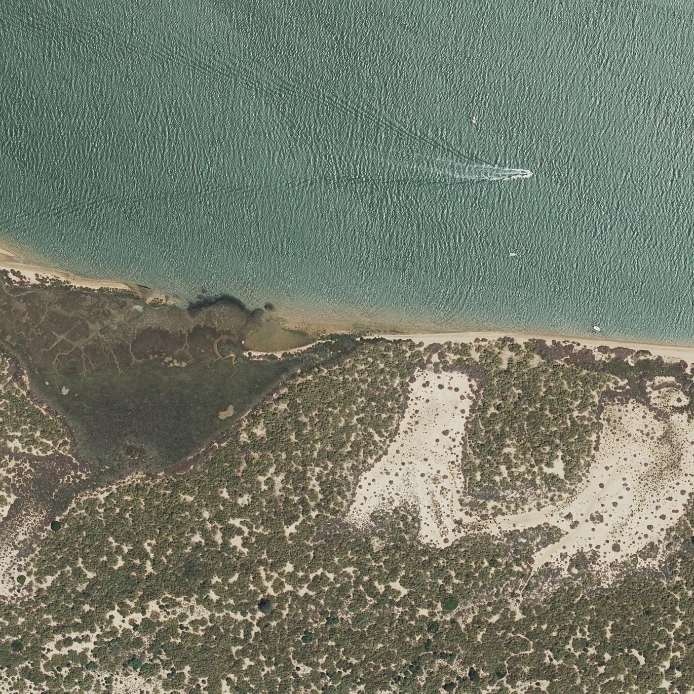 Aerial map of Playa Pesca