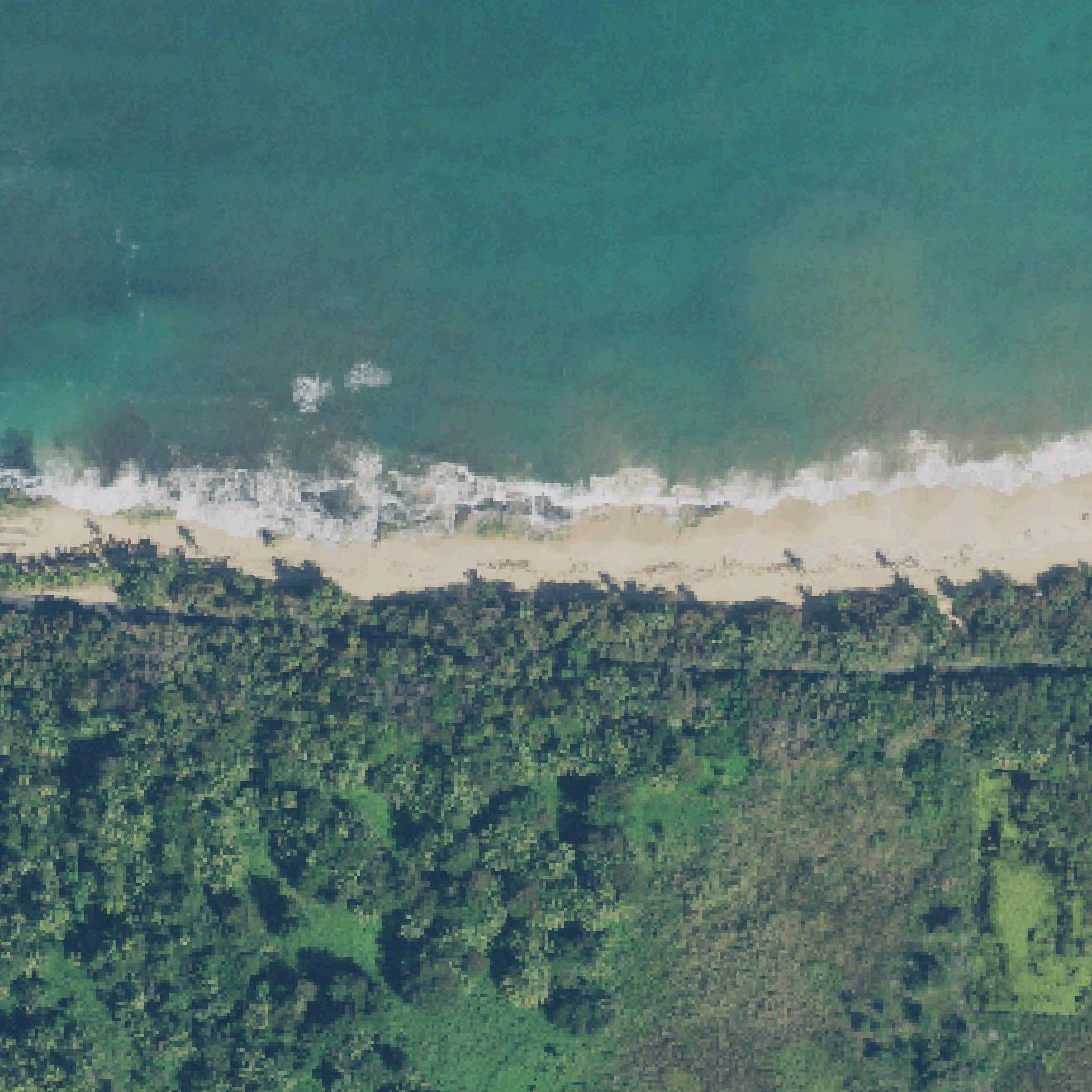 Aerial map of Playa Tortuguero