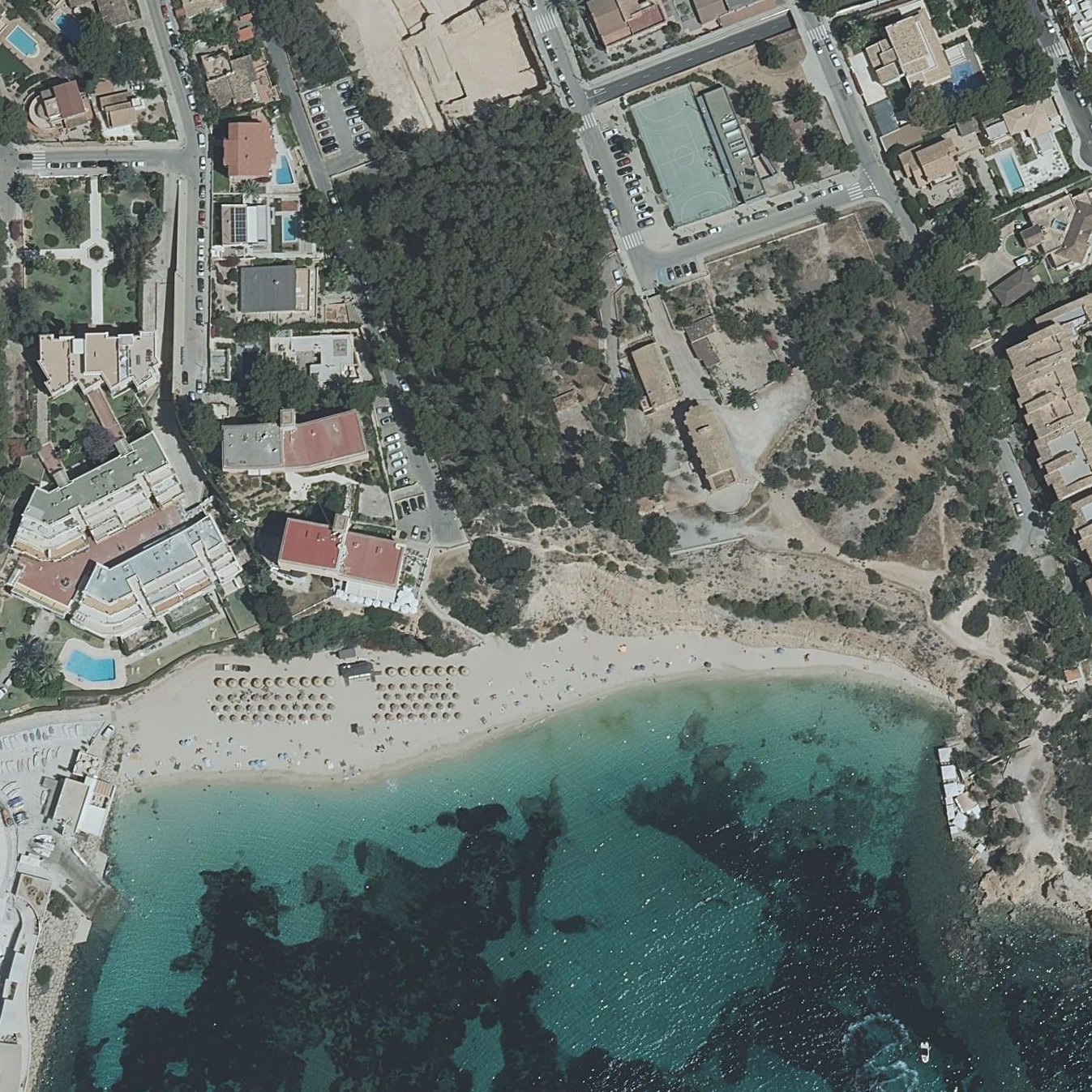 Aerial map of Portals Nous Beach