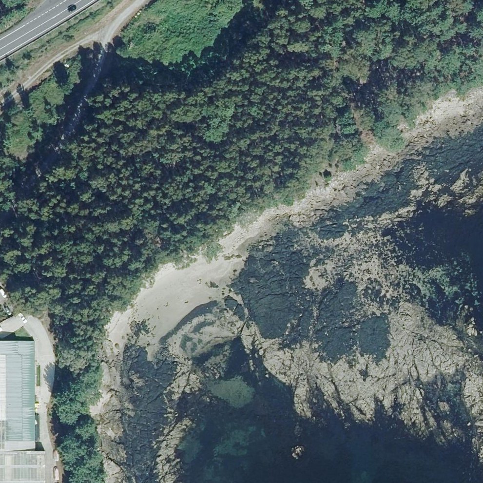 Aerial map of Praia do Cotarín