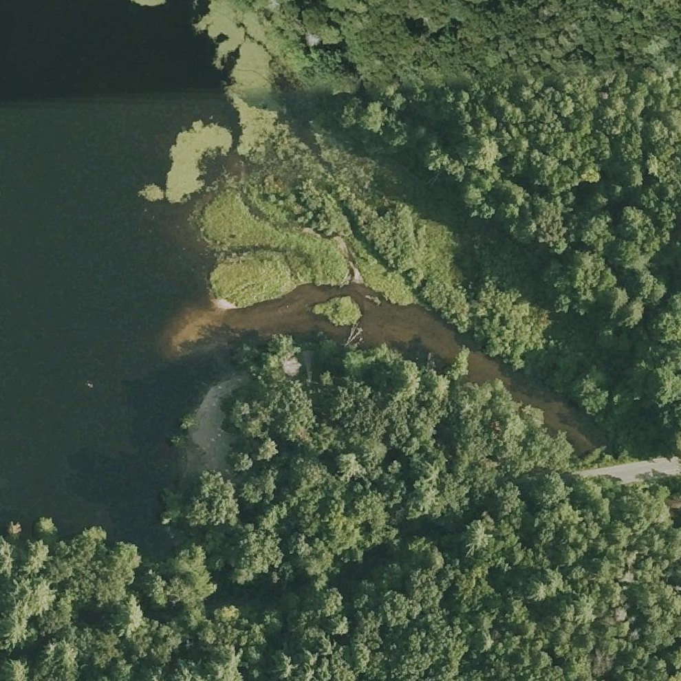 Aerial map of Puffer's Pond Swimming Area
