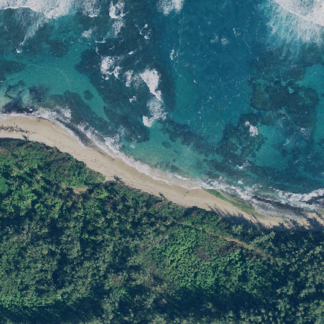 Aerial map of Punta Aguacate Beach