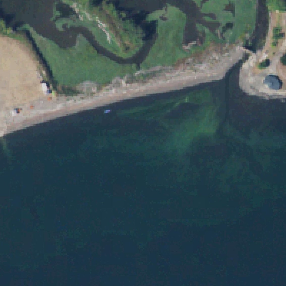 Aerial map of Right Smart Cove