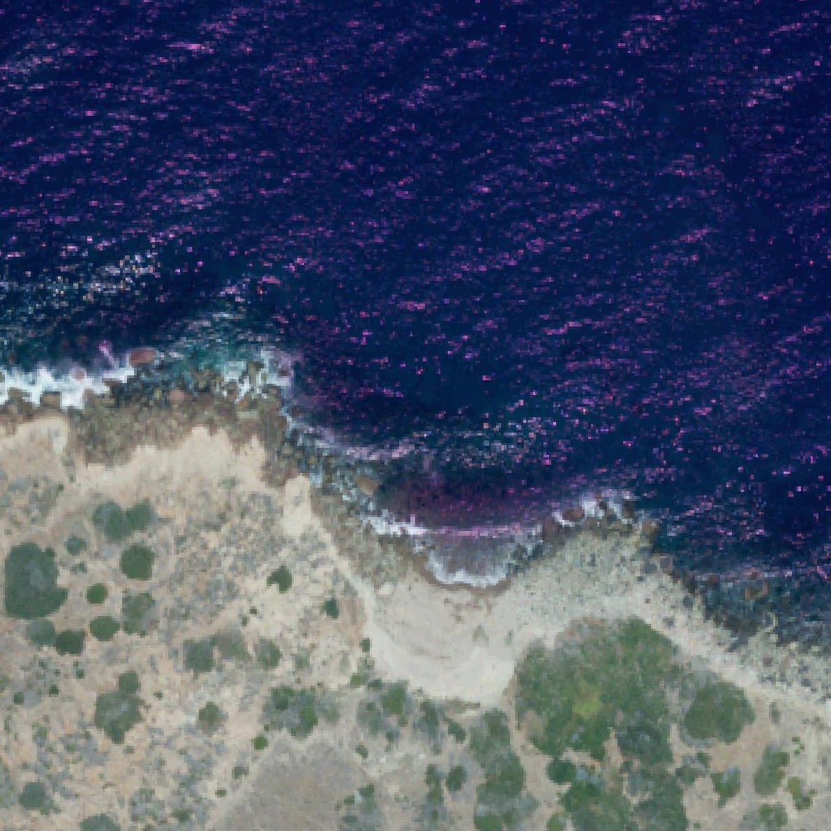 Aerial map of Rippers Cove