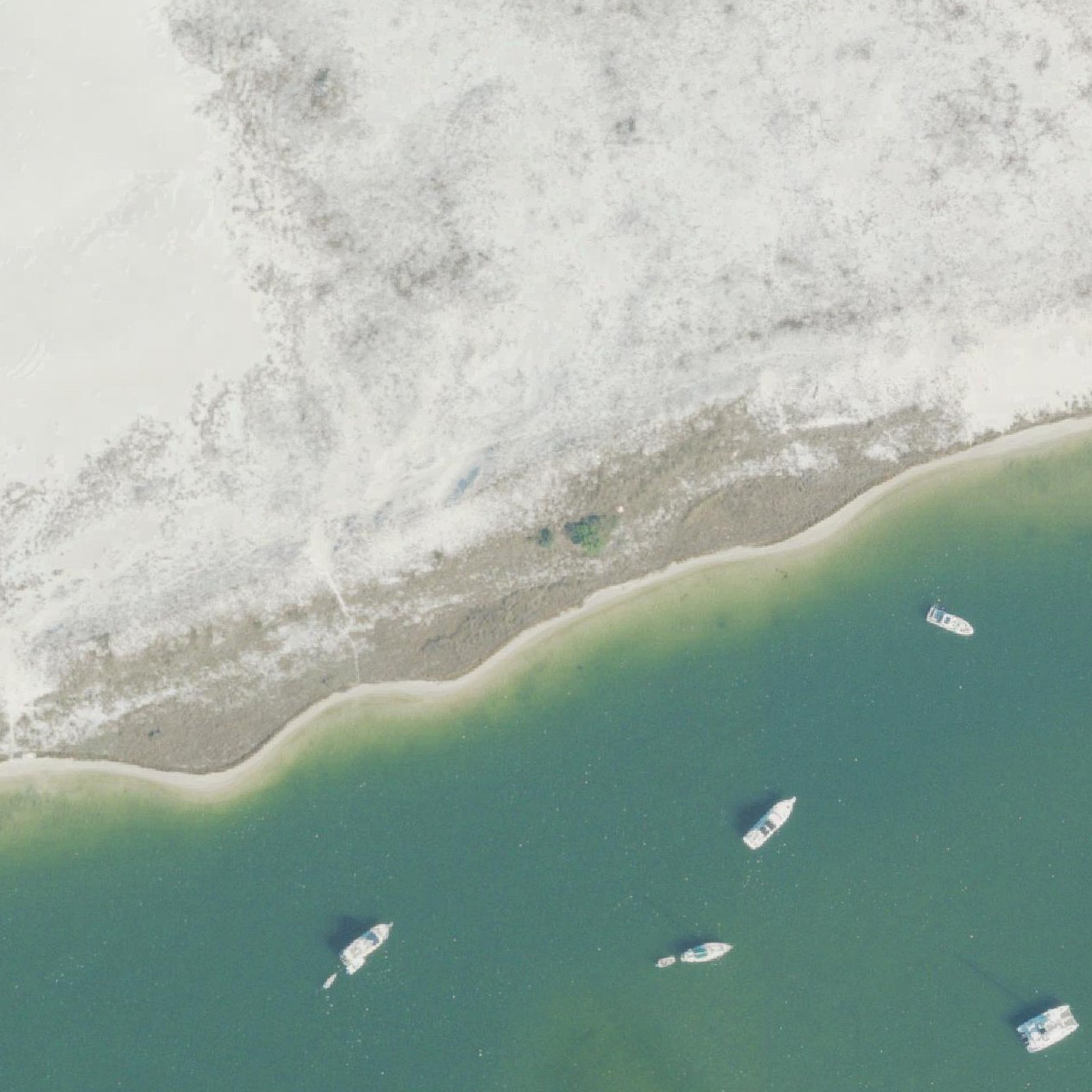Aerial map of Robertson Island