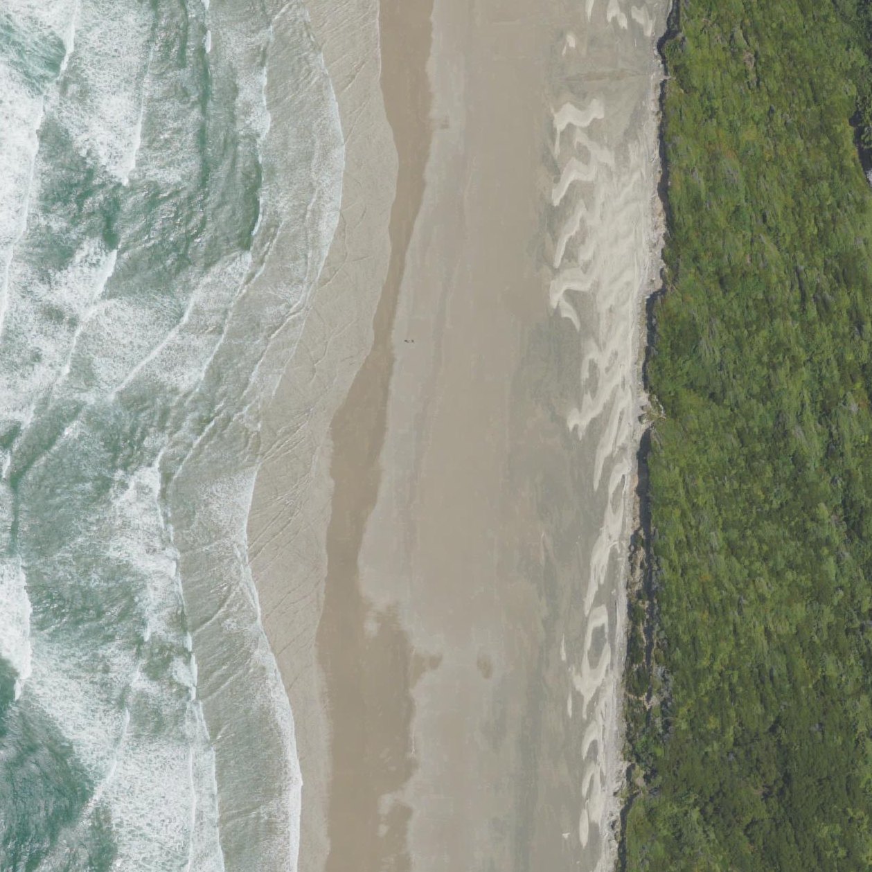 Aerial map of Roosevelt Beach