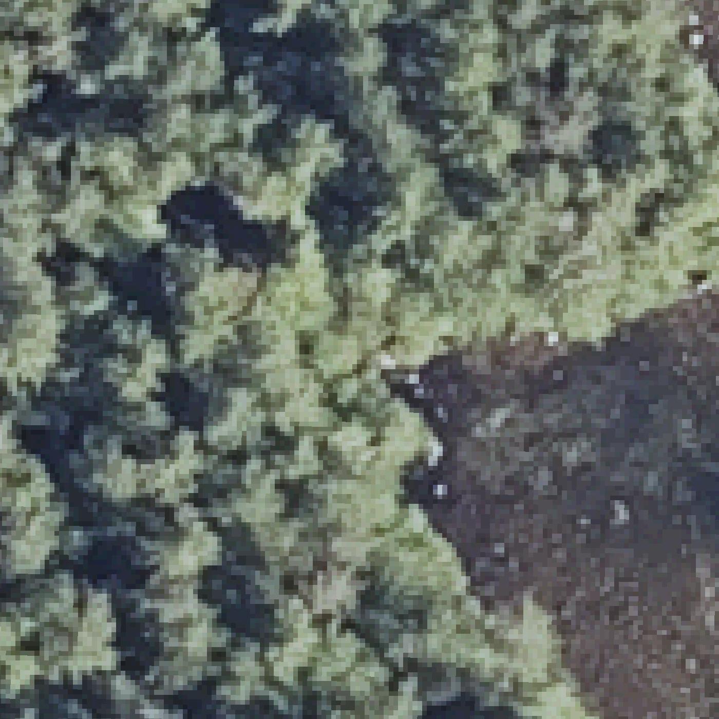 Aerial map of Sand Beach at Branch Lake