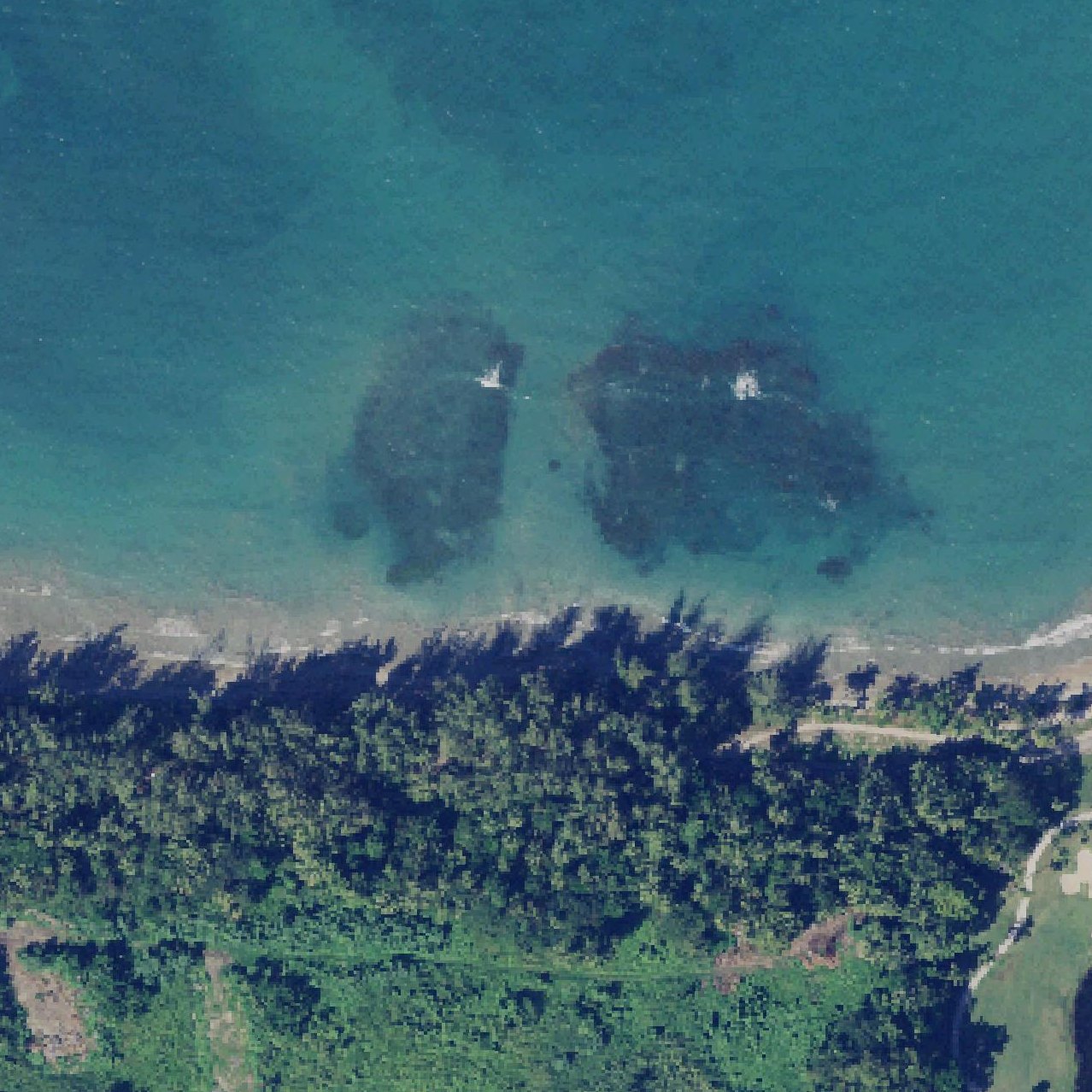 Aerial map of Sardinera Dorado Beach East