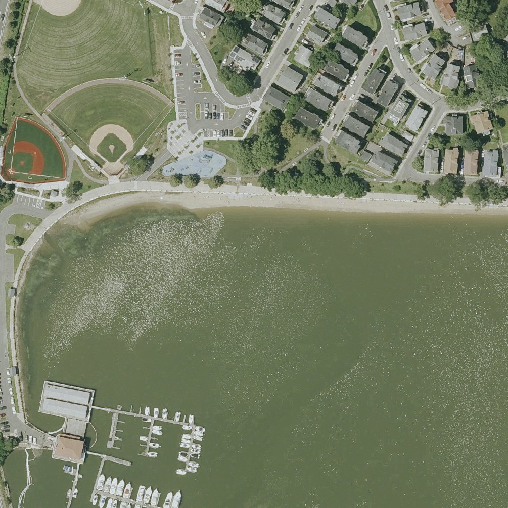 Aerial map of Savin Hill Beach