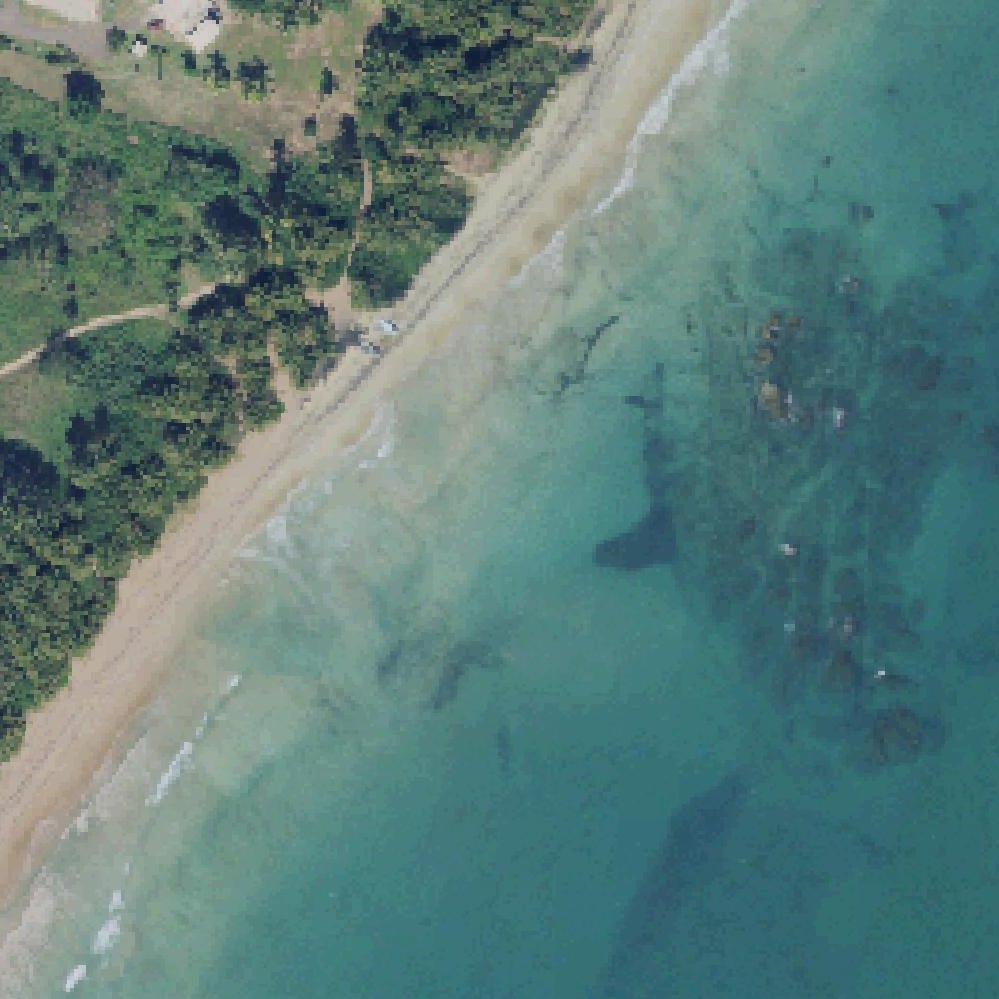 Aerial map of Secret Beach, Humacao