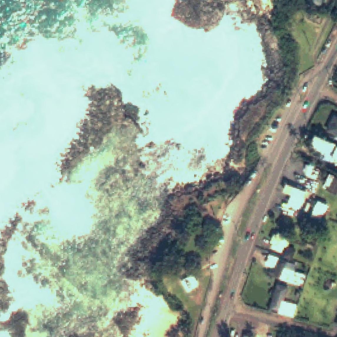 Aerial map of Shark’s Cove