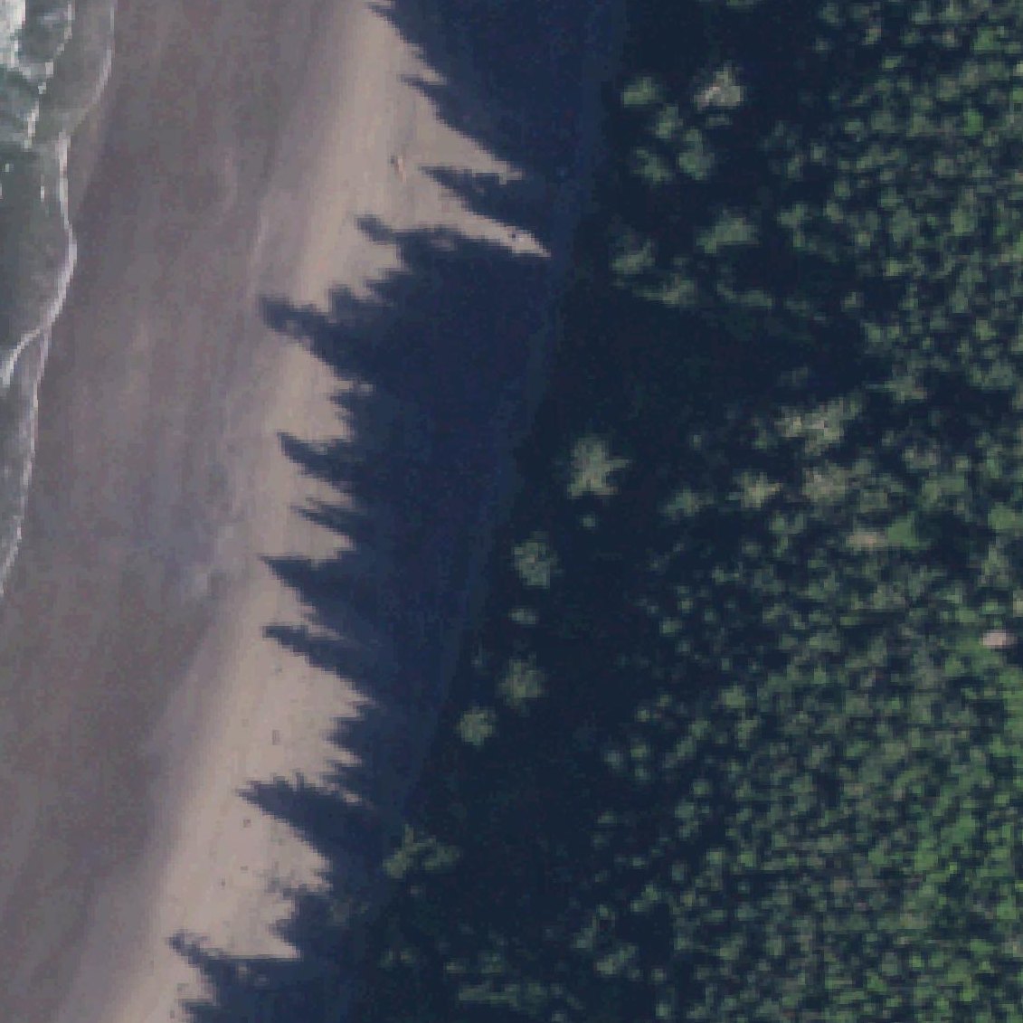 Aerial map of Shi-Shi Beach