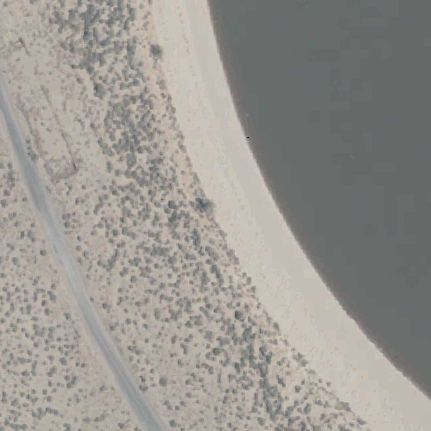 Aerial map of Silver Springs Beach
