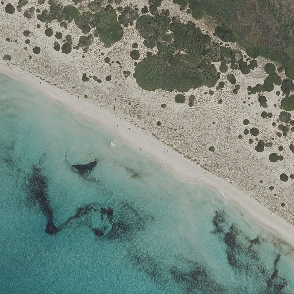 Aerial map of Son Bou beach
