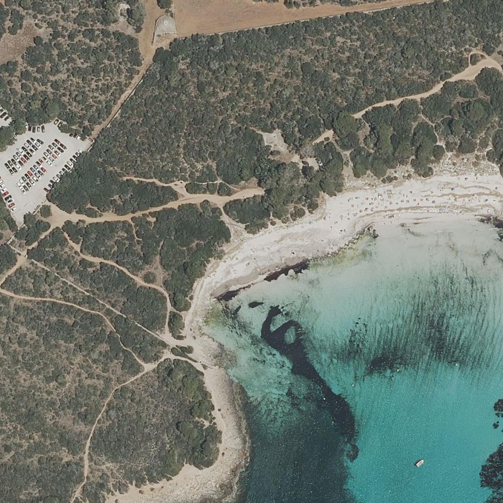 Aerial map of Son Saura