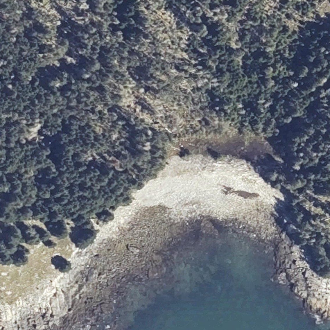 Aerial map of Southwest Cove