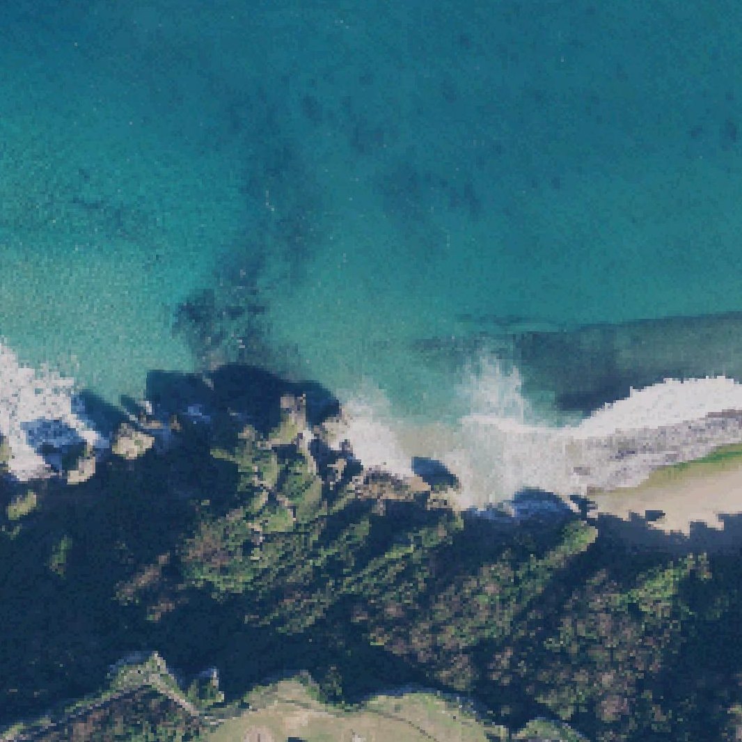 Aerial map of Survival Beach