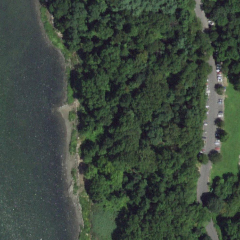 Aerial map of Turtle Cove on Rodmans Neck