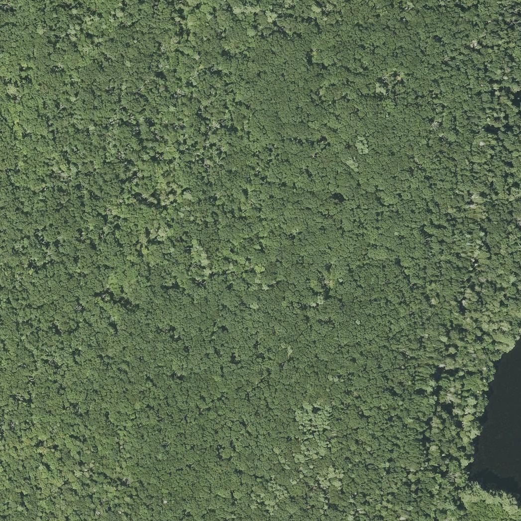 Aerial map of Walker Pond Beach-Wells State Park