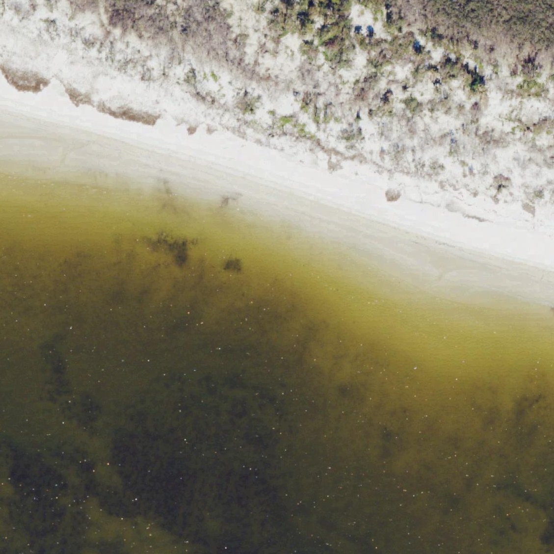 Aerial map of West Bunche Beach