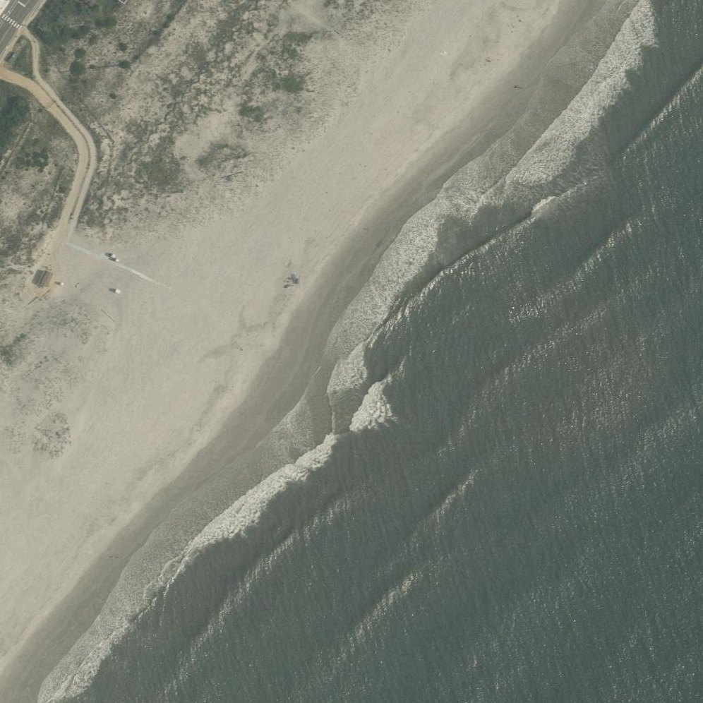 Aerial map of Whale Beach