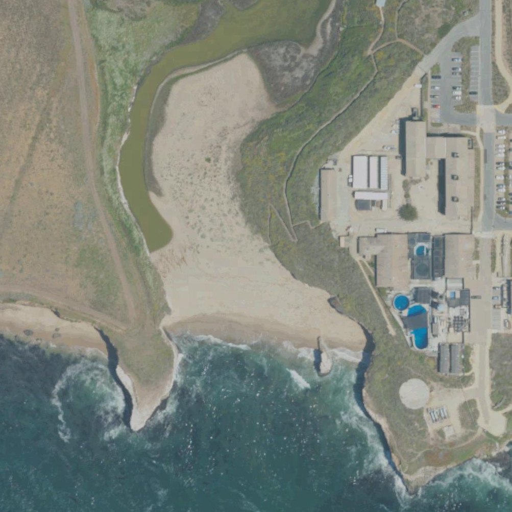 Aerial map of Younger Beach