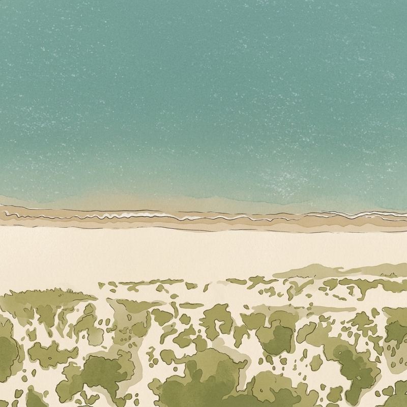 Aerial map of Coskata Beach